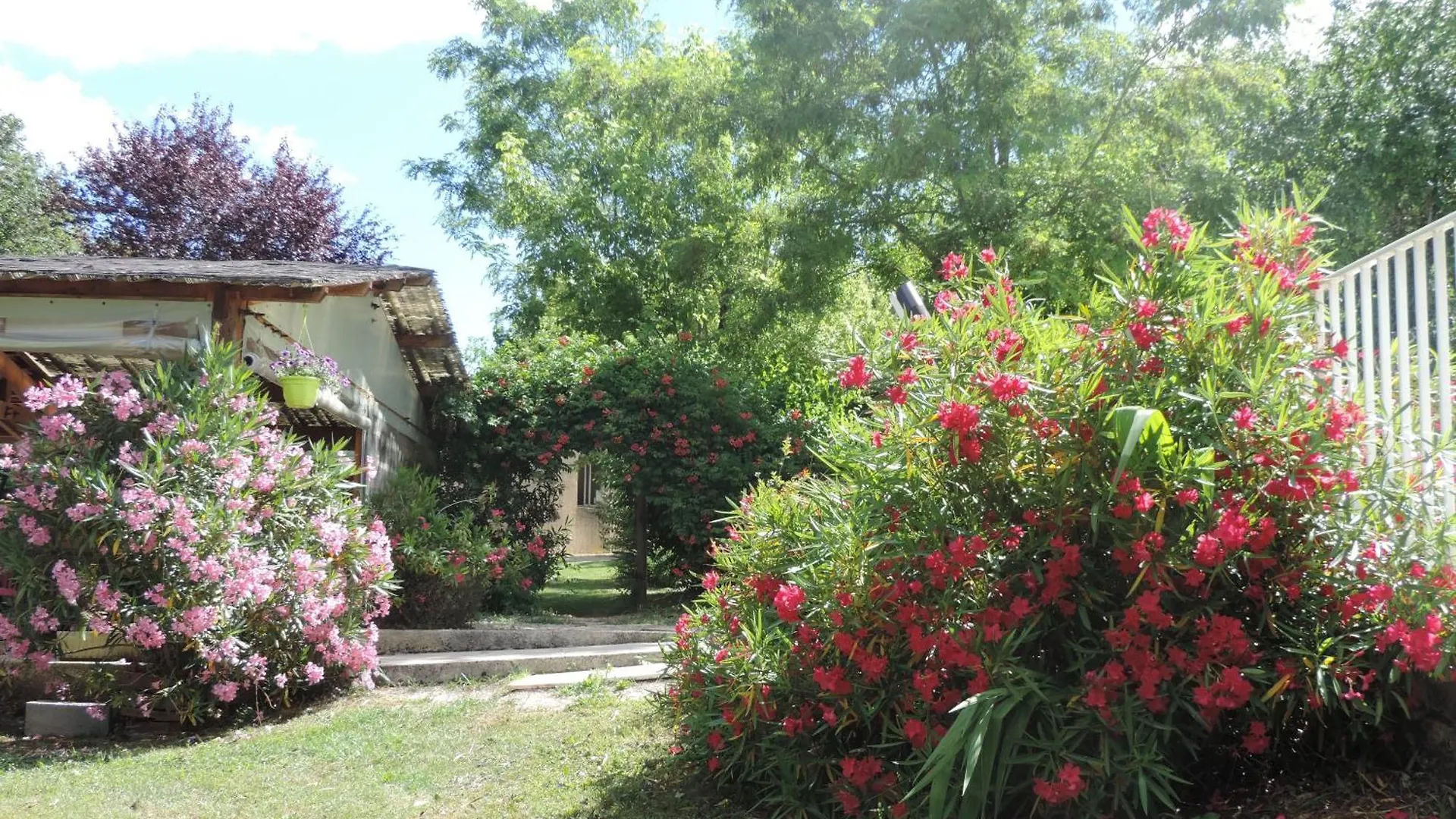 Camping Lepigeonnier A Miers Pres Du Gouffre De Padirac Campsite